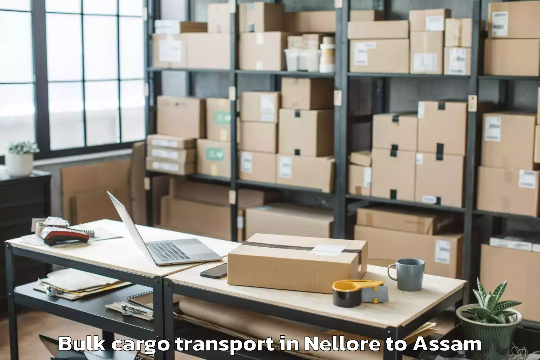 Book Nellore to Guwahati Airport Gau Bulk Cargo Transport Online